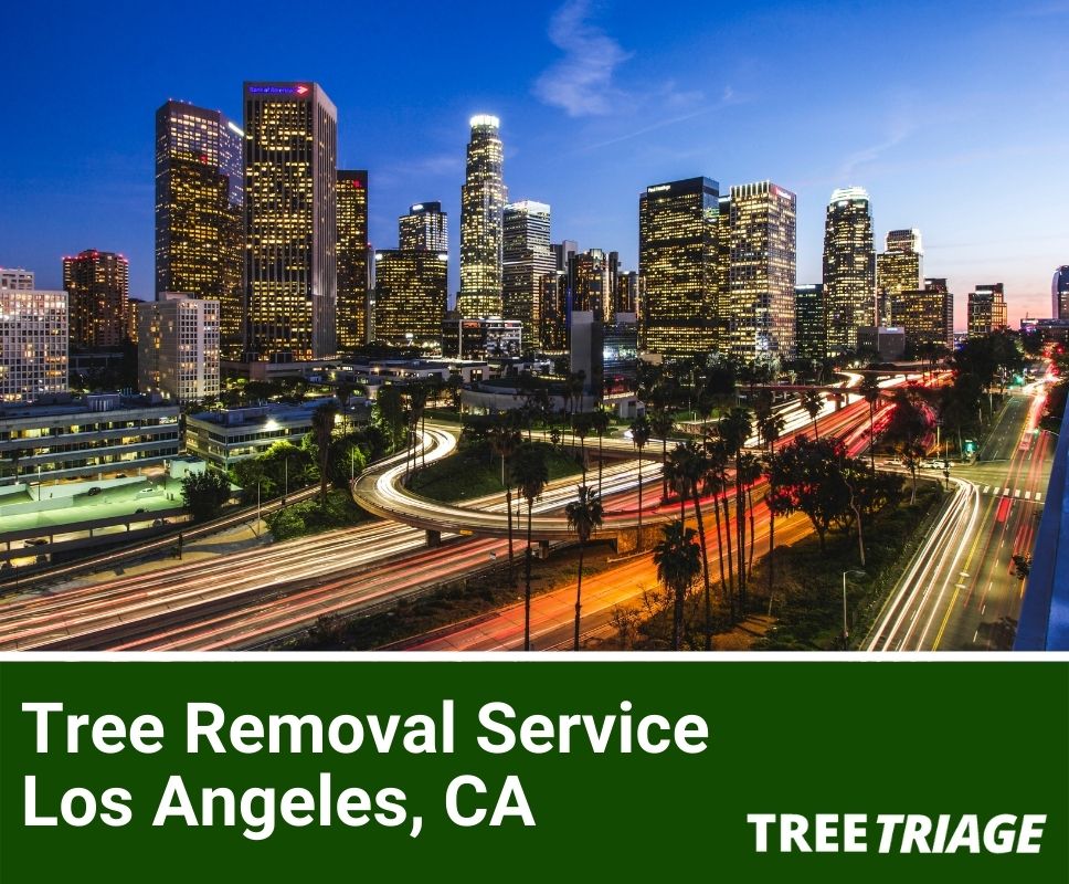 Tree Removal Service Los Angeles, CA-2