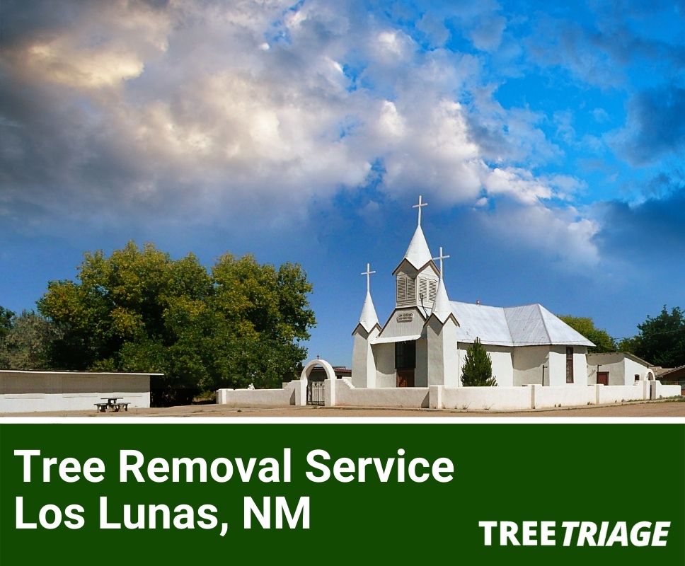Tree Removal Service Los Lunas, NM-1