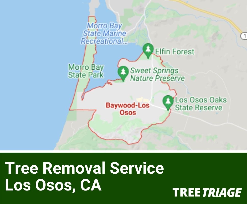 Tree Removal Service Los Osos, CA-1