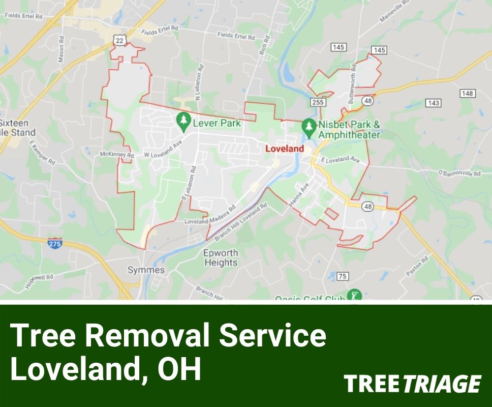 Tree Removal Service Loveland, OH-1(1)
