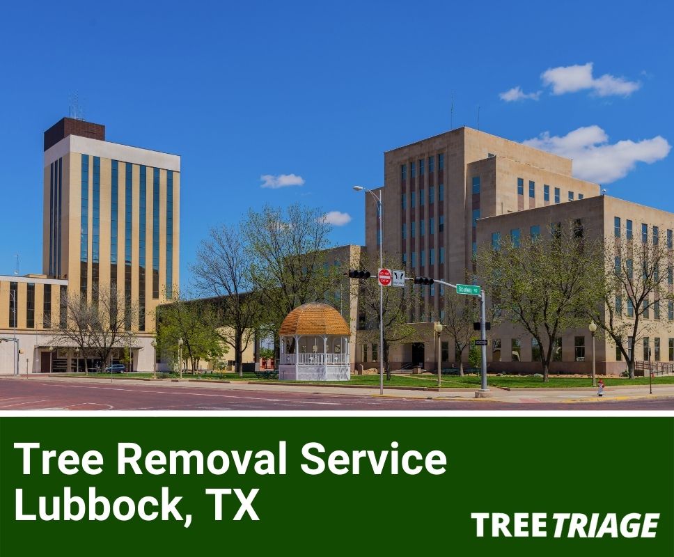 Tree Removal Service Lubbock, TX-1
