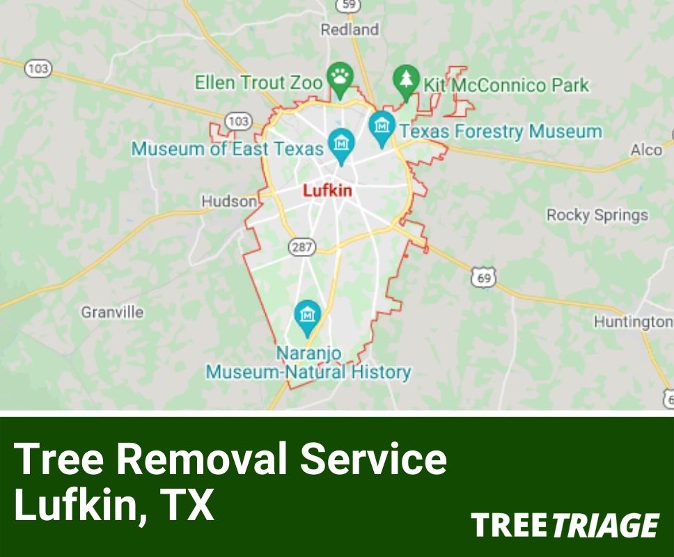 Tree Removal Service Lufkin, TX-1