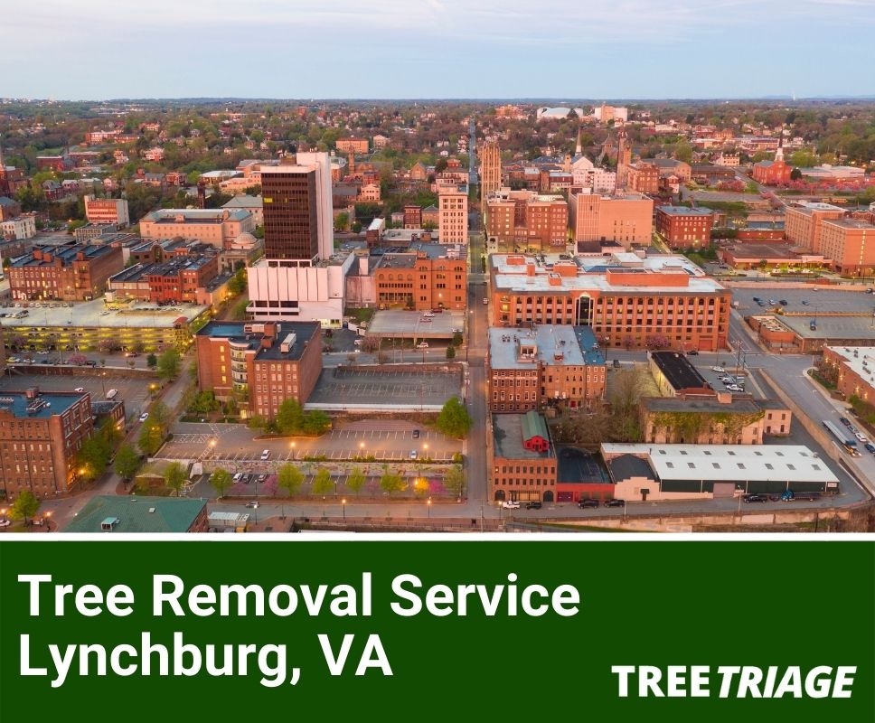 Tree Removal Service Lynchburg, VA-1