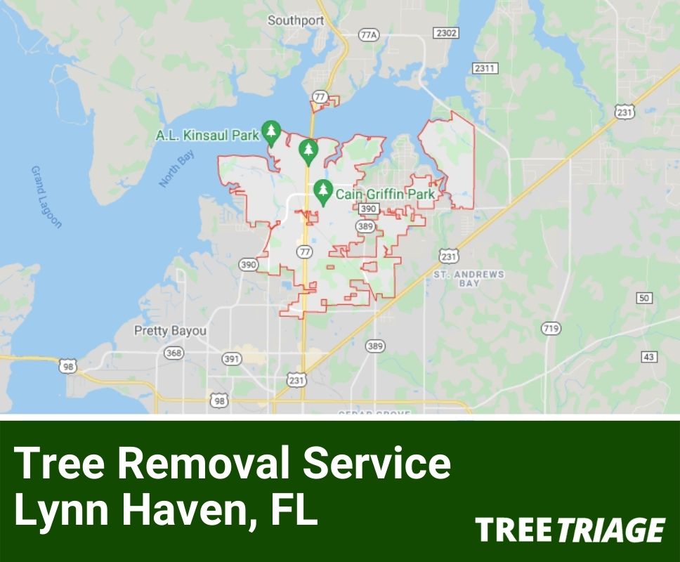 Tree Removal Service Lynn Haven, FL-1