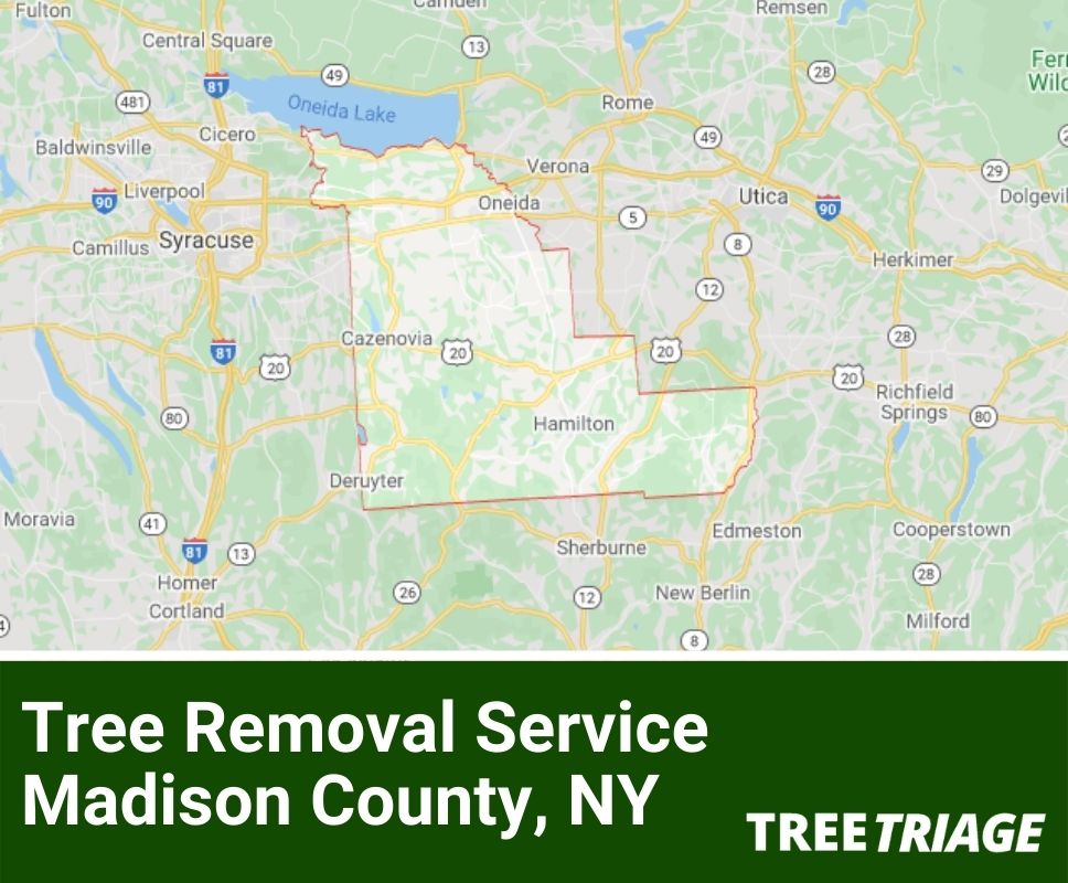Tree Removal Service Madison County, NY-1