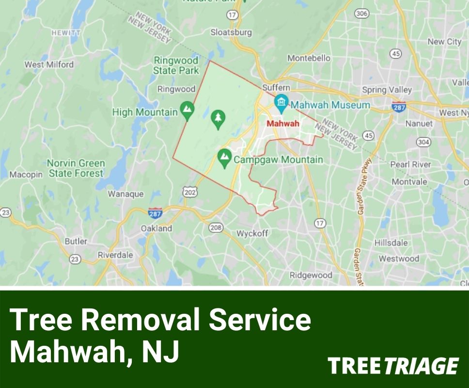 Tree Removal Service Mahwah, NJ-1