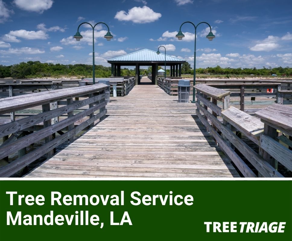 Tree Removal Service Mandeville, LA-1(1)