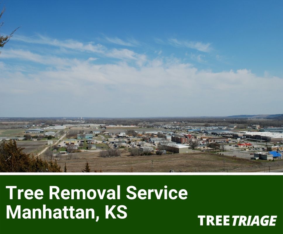Tree Removal Service Manhattan, KS-1