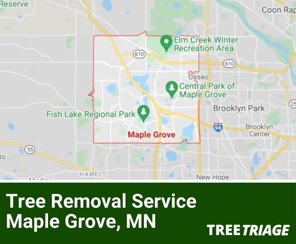 Tree Removal Service Maple Grove, MN-1