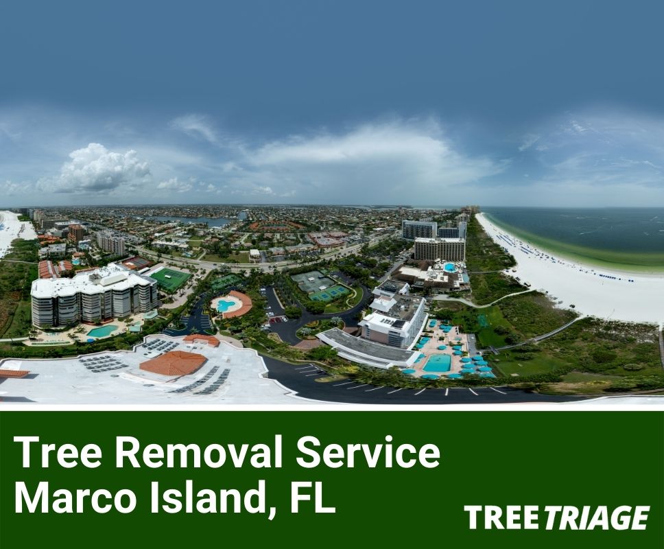 Tree Removal Service Marco Island, FL-1