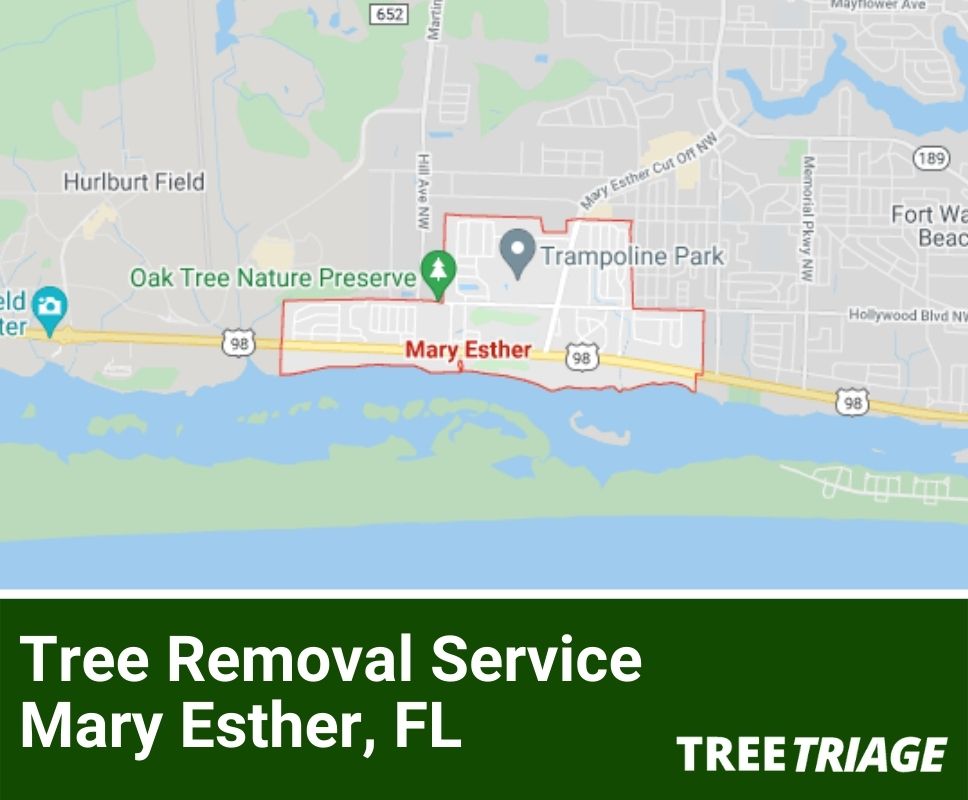 Tree Removal Service Mary Esther, FL-1