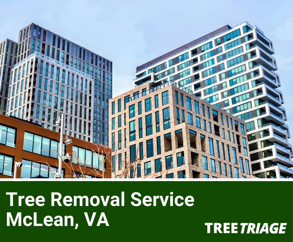 Tree Removal Service McLean, VA-1