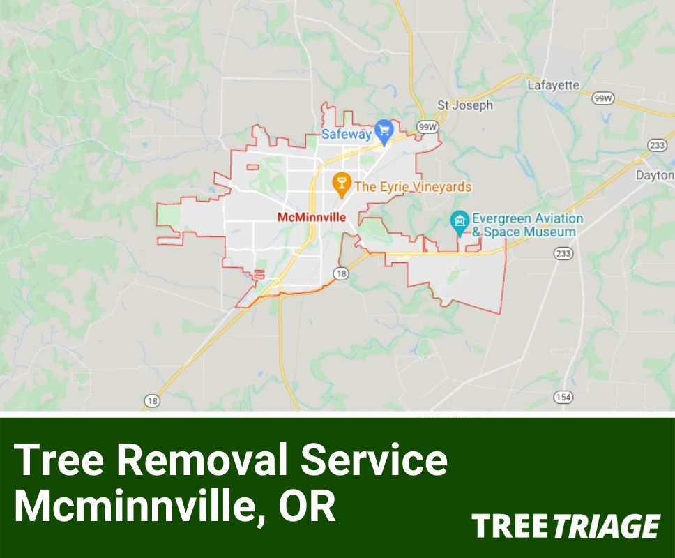 Tree Removal Service Mcminnville, OR-1