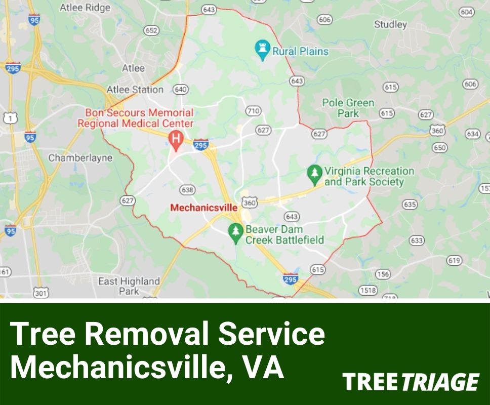 Tree Removal Service Mechanicsville, VA-1