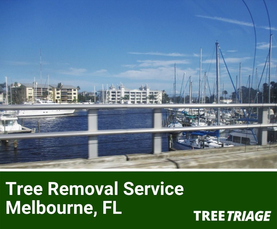Tree Removal Service Melbourne, FL-1