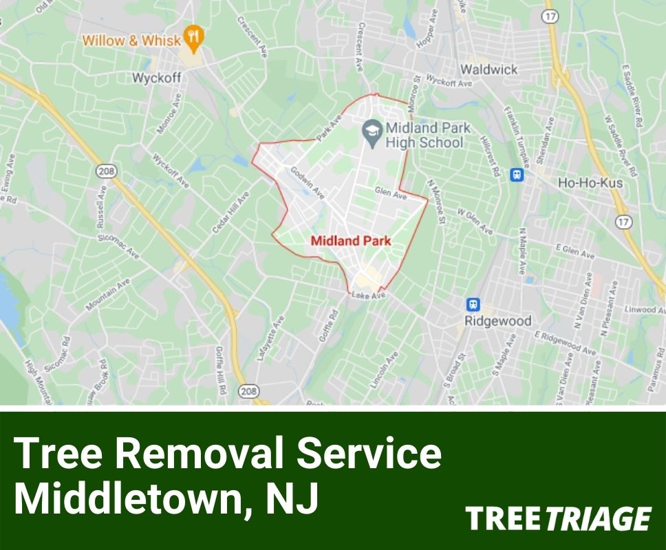 Tree Removal Service Middletown, NJ-1(1)