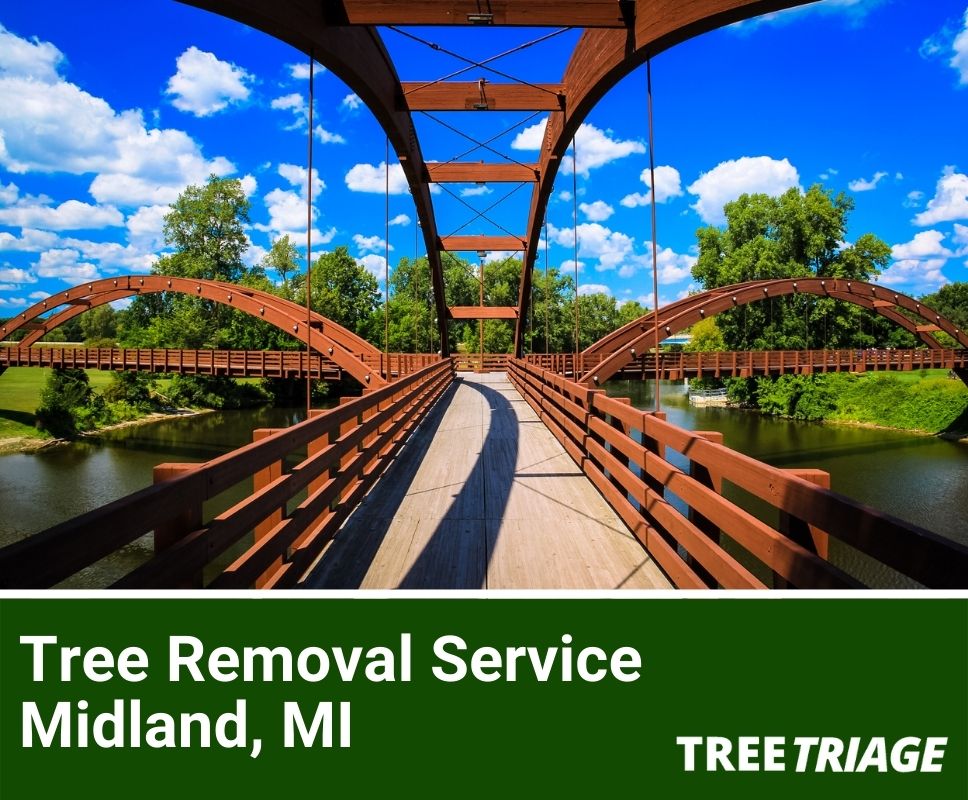 Tree Removal Service Midland, MI-1