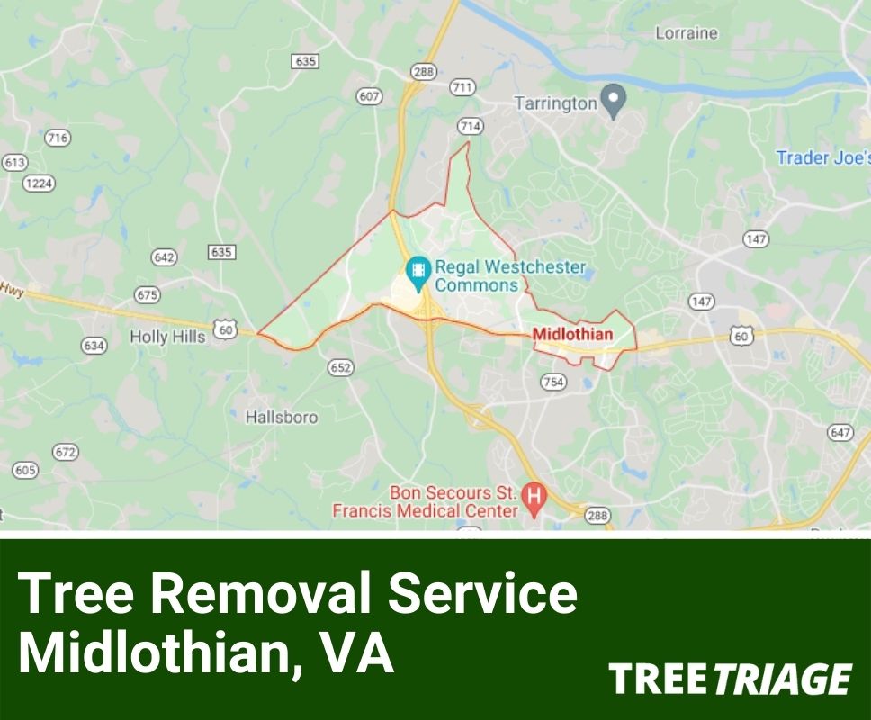 Tree Removal Service Midlothian, VA-1