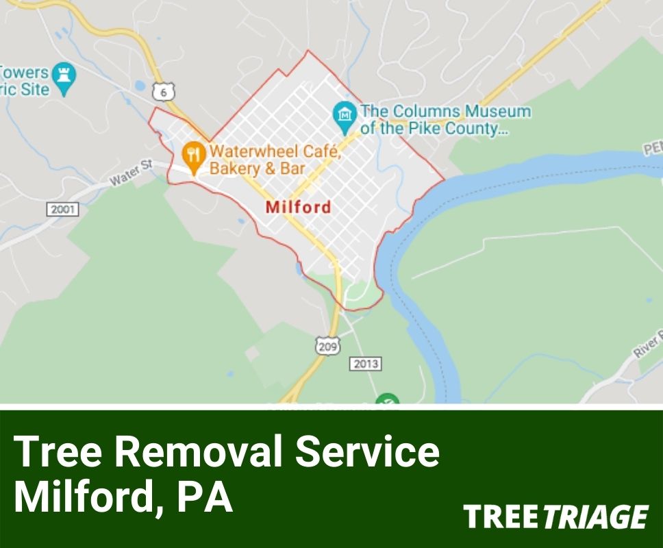 Tree Removal Service Milford, PA-1