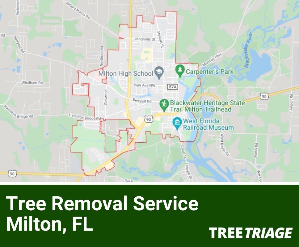 Tree Removal Service Milton, FL-1