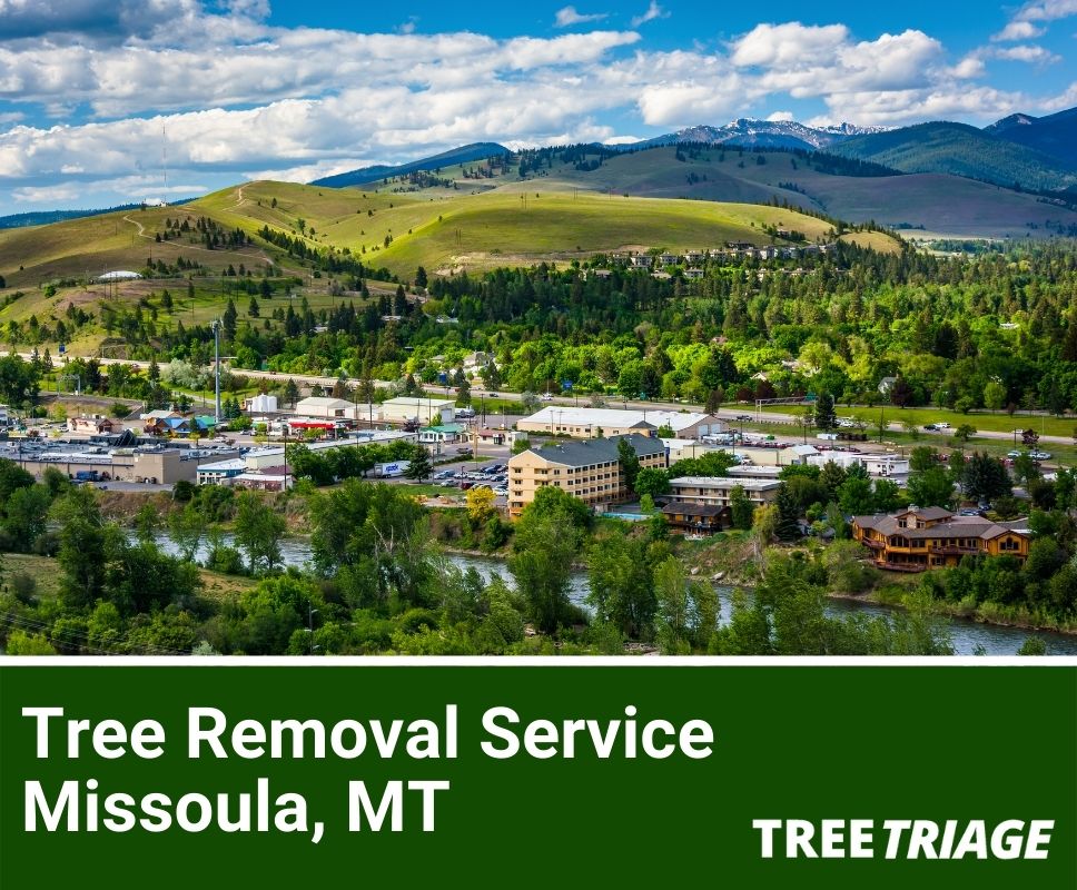 Tree Removal Service Missoula, MT-1
