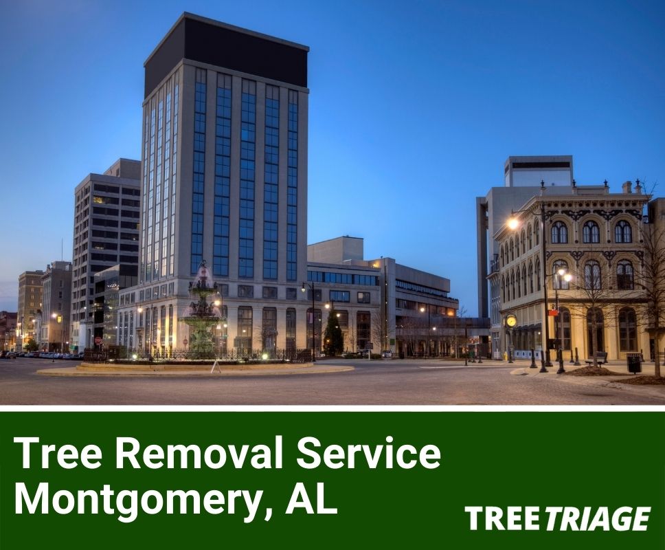 Tree Removal Service Montgomery, AL-1