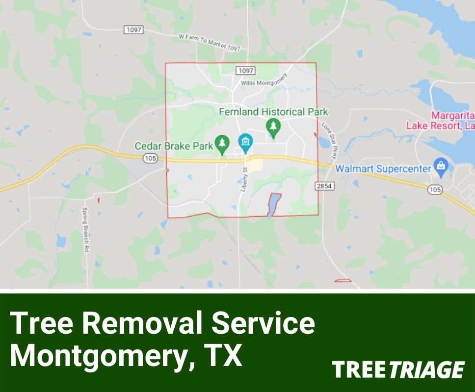 Tree Removal Service Montgomery, TX-1
