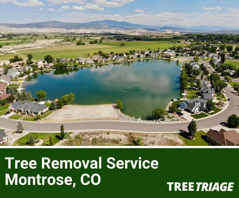 Tree Removal Service Montrose, CO-1