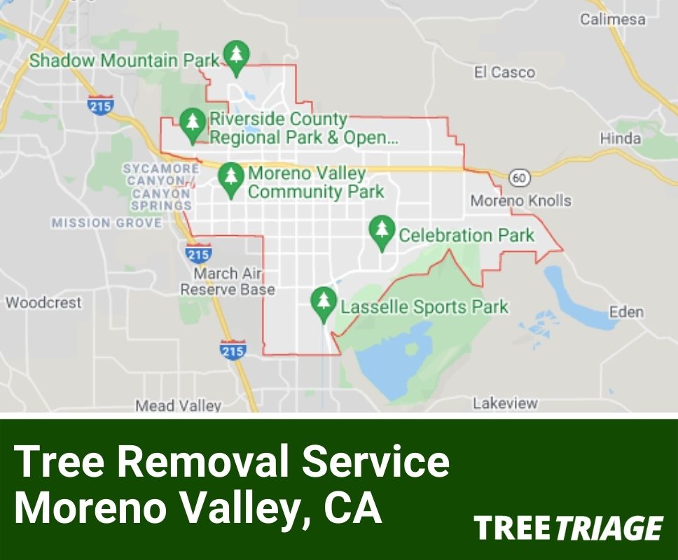 Tree Removal Service Moreno Valley, CA-1