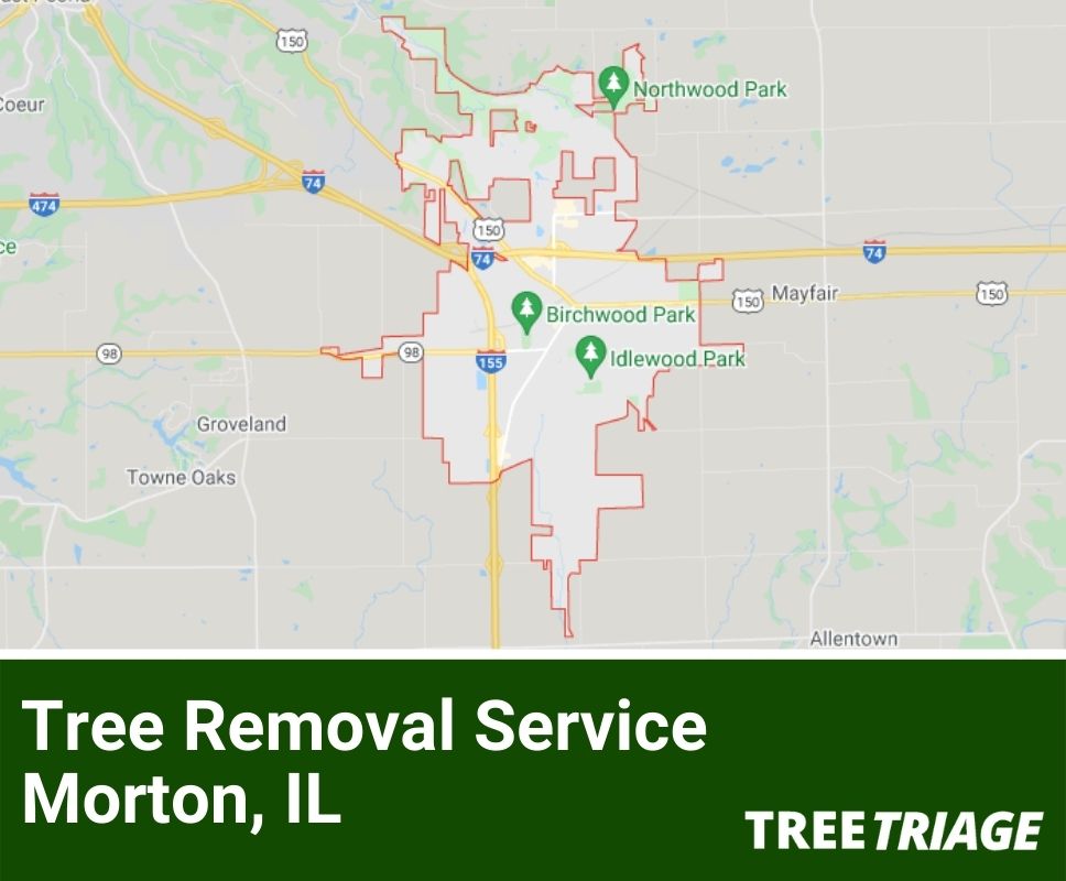 Tree Removal Service Morton, IL-1