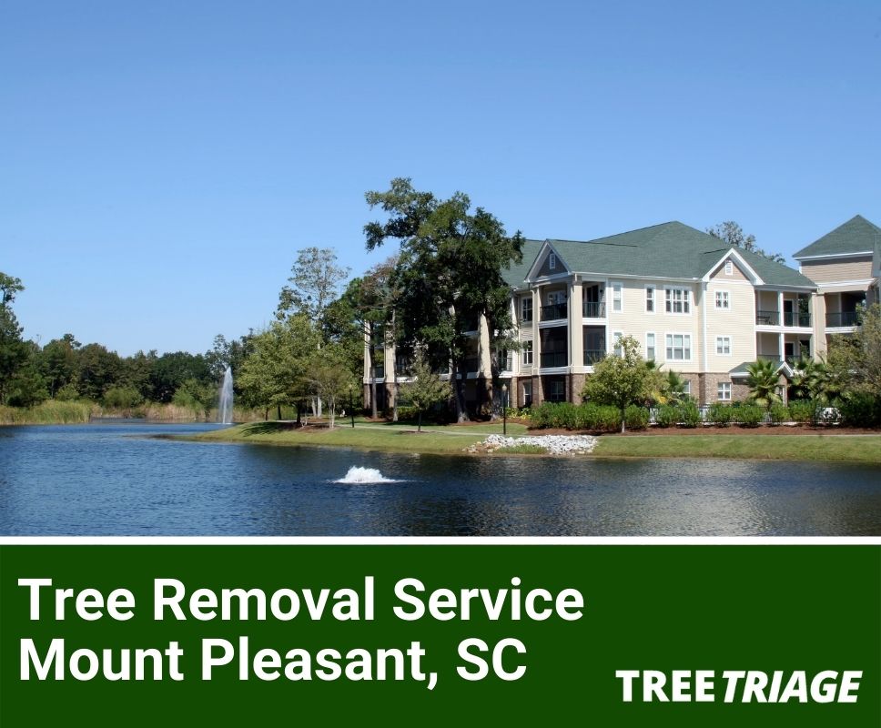 Tree Removal Service Mount Pleasant, SC-1