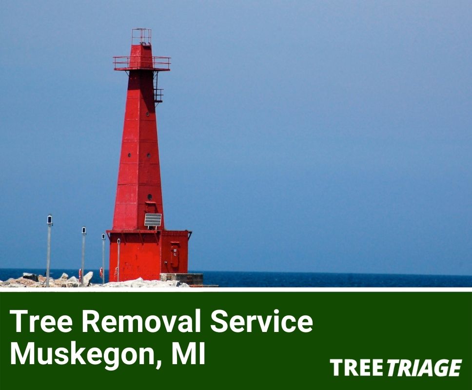 Tree Removal Service Muskegon, MI-1