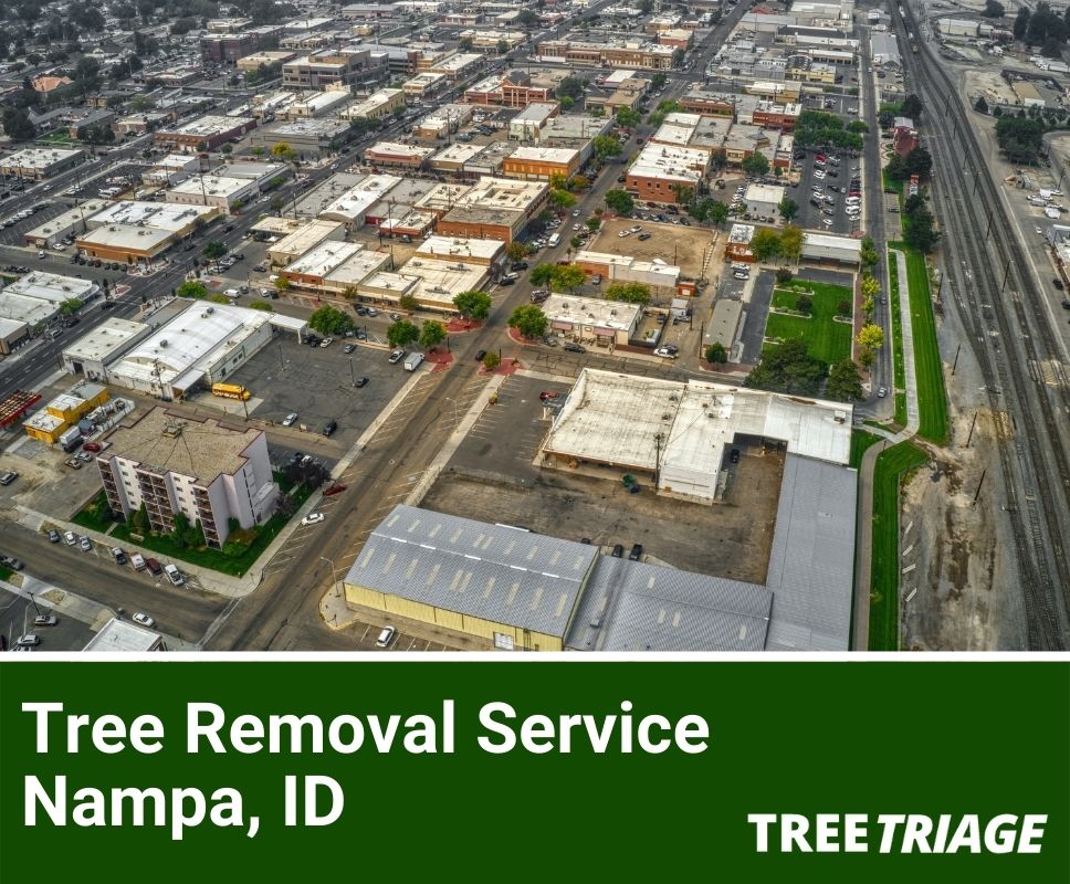 Tree Removal Service Nampa, ID-1