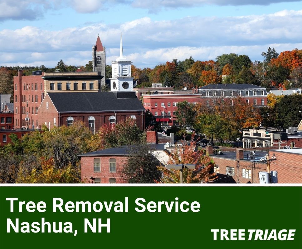 Tree Removal Service Nashua, NH-1