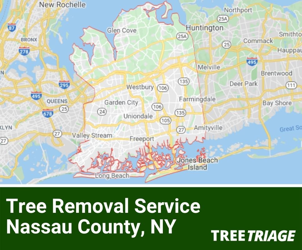 Tree Removal Service Nassau County, NY-1(1)