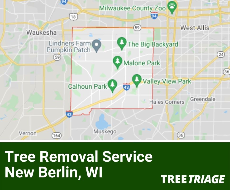 Tree Removal Service New Berlin, WI-1