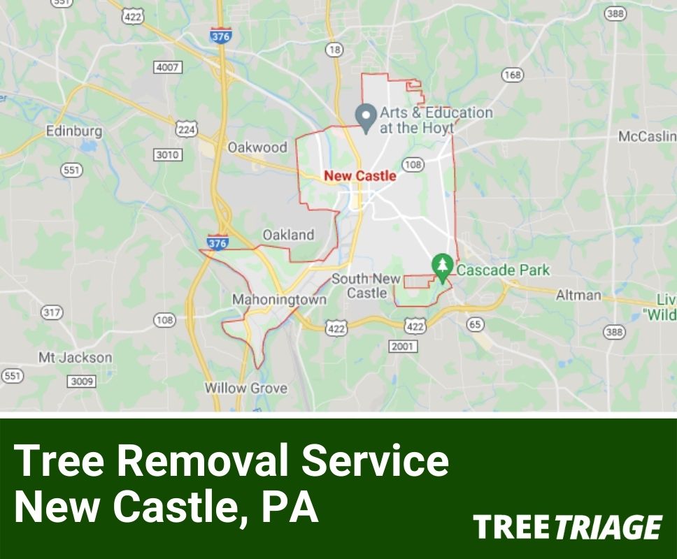 Tree Removal Service New Castle, PA-1
