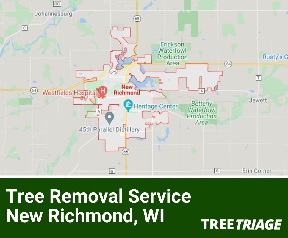 Tree Removal Service New Richmond, WI-1(1)