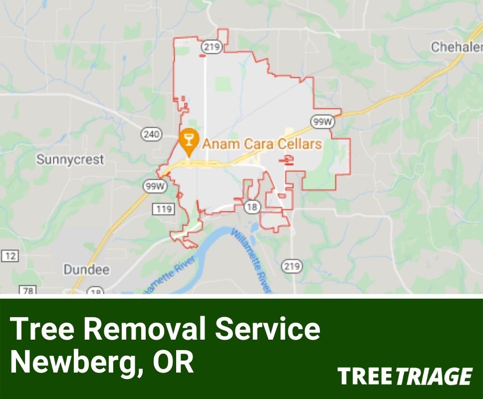 Tree Removal Service Newberg, OR-1