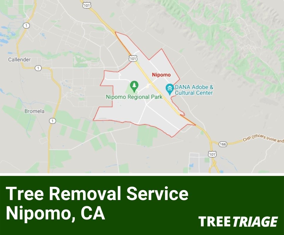 Tree Removal Service Nipomo, CA-1