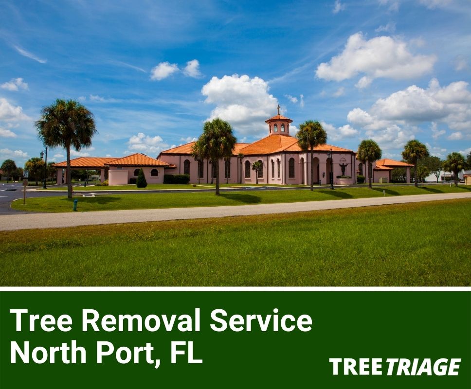Tree Removal Service North Port, FL-1(1)