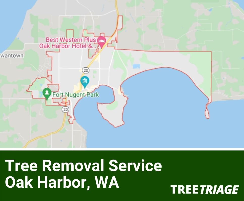 Tree Removal Service Oak Harbor, WA-1