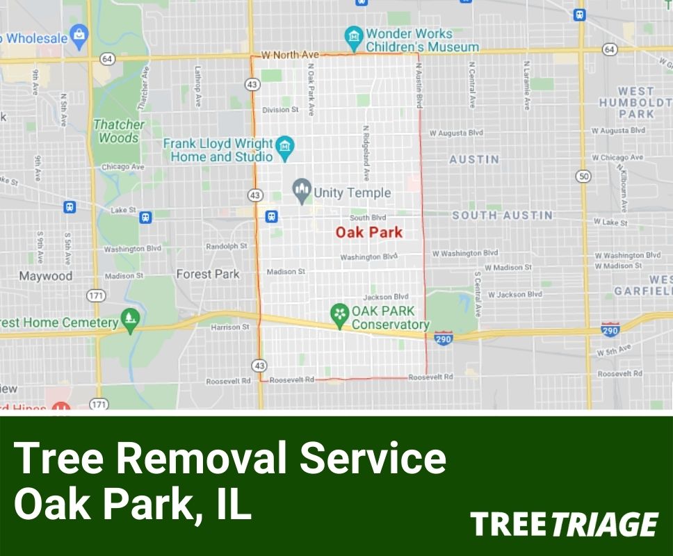 Tree Removal Service Oak Park, IL-1
