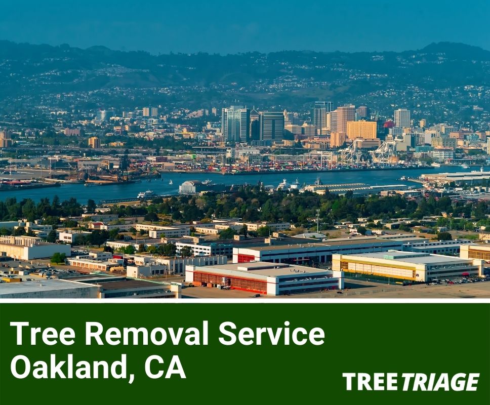 Tree Removal Service Oakland, CA-1