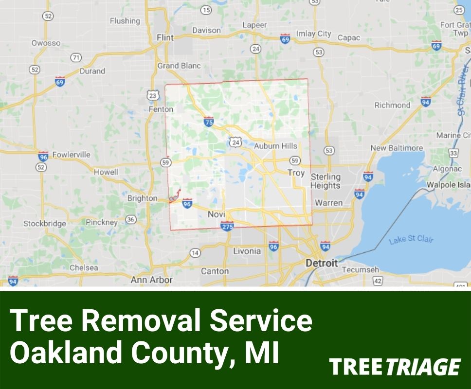 Tree Removal Service Oakland County, MI-1(1)