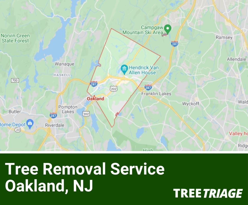Tree Removal Service Oakland, NJ-1