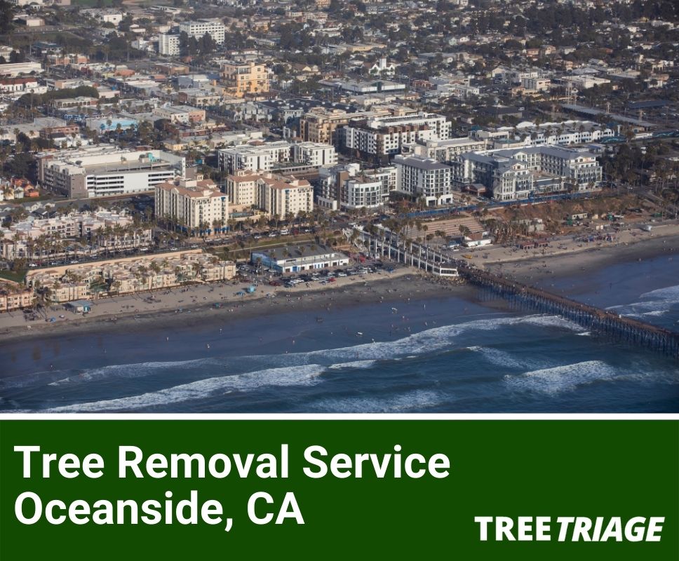 Tree Removal Service Oceanside, CA-1