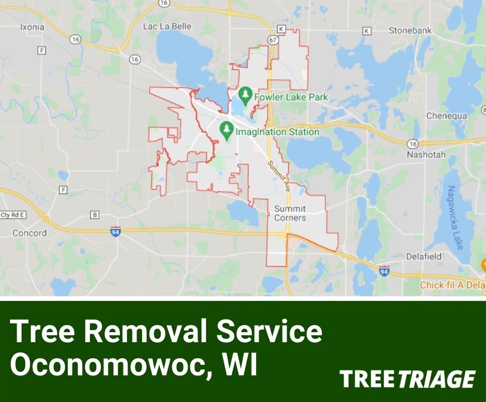 Tree Removal Service Oconomowoc, WI-1