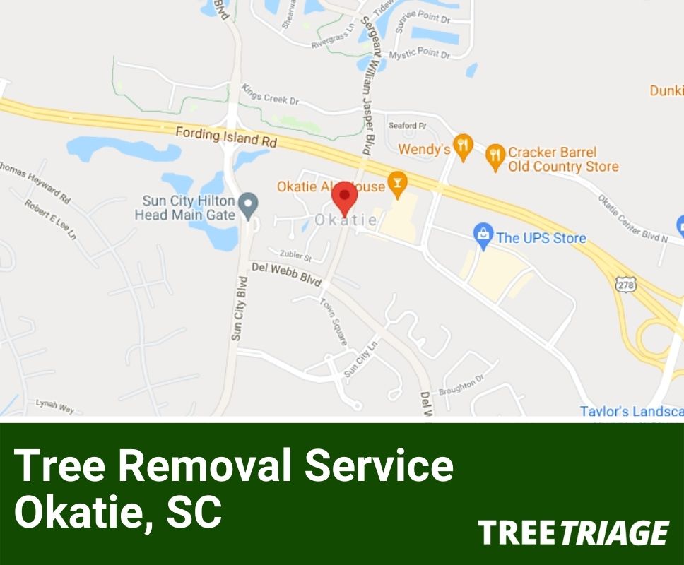 Tree Removal Service Okatie, SC-1