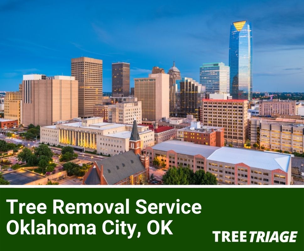 Tree Removal Service Oklahoma City, OK-1